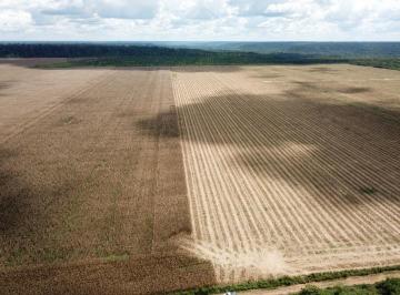 20230317155753165649.jpg · Fazenda para Venda em Ulianópolis, ÁREA RURAL