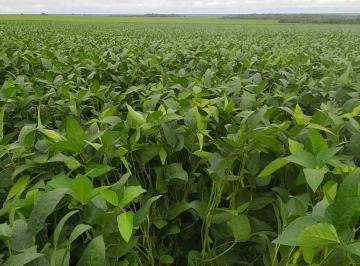 20230317210958732605.jpg · Fazenda para Venda em Guaraí, ÁREA RURAL