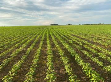 20230317212725833935.jpg · Fazenda para Venda em Redenção, ÁREA RURAL