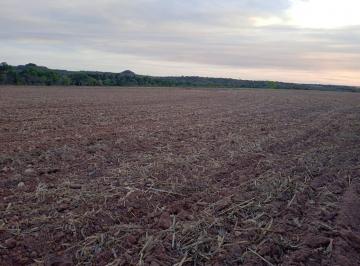 2023041509554978838.jpg · Fazenda para Venda em Santa Maria do Tocantins, ÁREA RURAL