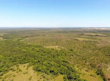 20230415110035654143.jpg · Fazenda para Venda em Lizarda, ÁREA RURAL