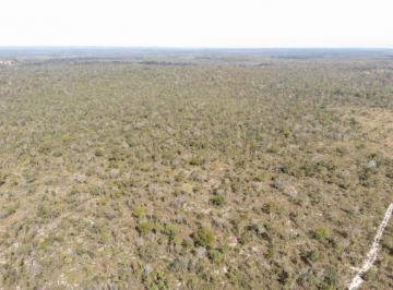 20230415111231677436.jpg · Fazenda para Venda em Rio Sono, ÁREA RURAL