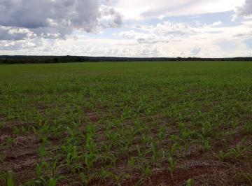20230415115233672784.jpg · Fazenda para Venda em Santa Maria do Tocantins, ÁREA RURAL