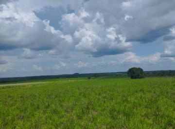 20230415123242496368.jpg · Fazenda para Venda em Santa Maria do Tocantins, ÁREA RURAL