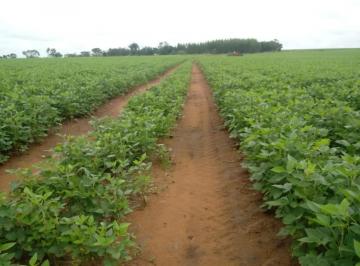 20230415172031724949.jpg · Fazenda para Venda em Pedro Afonso, ÁREA RURAL