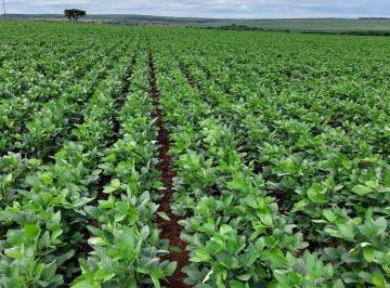 2023050411284763486.jpg · Fazenda para Venda em Bandeirantes, ÁREA RURAL
