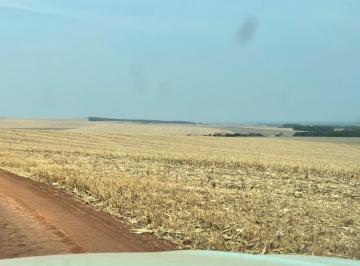 2023050609071936975.jpg · Fazenda para Venda em São José do Rio Claro, ÁREA RURAL