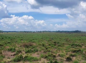 202410070745144926.jpg · Fazenda para Venda em Alto Alegre, ÁREA RURAL