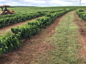 202409041702164971.jpg · Fazenda para Venda em Garça, ÁREA RURAL