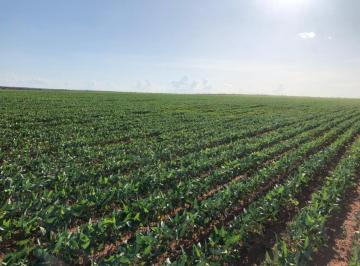 20221205155535712862.jpg · Fazenda para Venda em Rio Sono, ÁREA RURAL