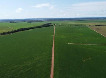 202408281532175443.jpeg · Fazenda para Venda em Boa Vista, ÁREA RURAL