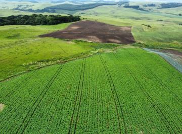 Rural · 55ha · Campo com parte de lavoura quase na cidade!!