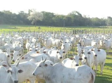 Rural de 7 quartos, Campo Grande · Fazenda Bodoquena: 87.851 Hectares de Oportunidade no Mato Grosso do Sul