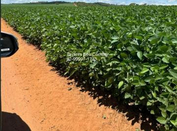 Foto 09 · Fazenda, Setor Central, Anápolis, GO