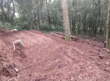881314.jpg · Terreno - Bairro Vila Suzana