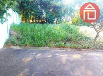 69d3d69b05e708d010b06168c65c10637f274c2b · Terreno à venda, 250 m² por R$ 200.000,00 - Residencial Alvorada - Bragança Paulista/SP