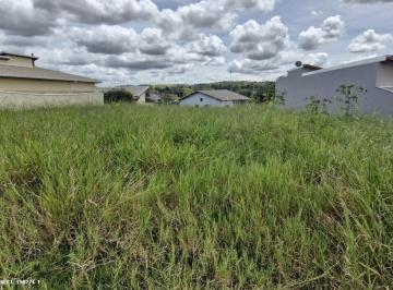 202503171457467083.jpg · Terreno para Venda em Pinhalzinho, Centro