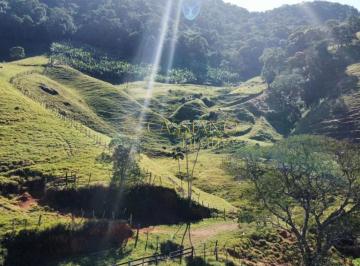 Rural · 117000m² · Sítio à venda de 117.000,00m² | Centro - São Francisco Xavier |