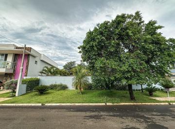1091_iJI4x892e9K523vm4sA_10916749e0c0a8c9c.jpg · Parque dos Ypês, murado na frente e nos fundos
