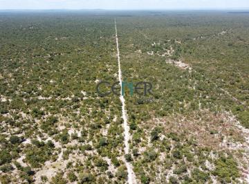 Terreno · 1422ha · Terreno de 1 422 ha todo plano em Januária MG