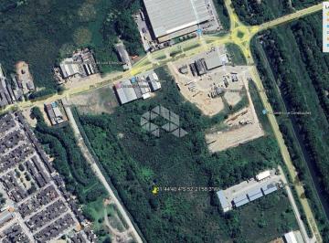 686426_i57AO_68642667d863b221efc.jpg · Área de Terras de 3 Hectares na Av. Nelson Mandela, Pelotas!