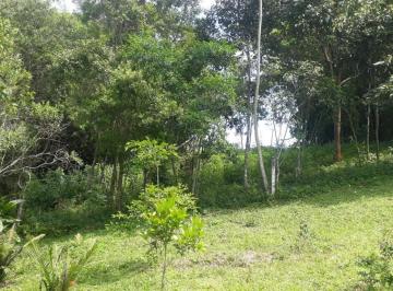 673824_i77427Jg3937q1aA71W69_6738246793d08e3aa59.jpg · Terreno na Ibiraquera integrada a natureza, 1250 m² em rua sem saída, no centrinho da Ibiraquera