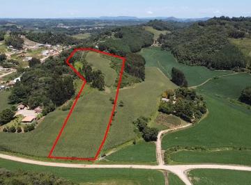 202503181730176529.jpg · Área para Venda em Campo Magro, Centro