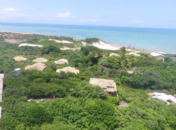 202503191415061949.jpeg · Terreno para Venda em Tibau do Sul, Praia de Pipa