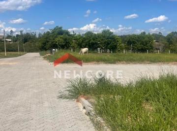 Terreno · 803m² · Lote em  Rua Afonso Corrêa da Silva - Fazenda Pires - Parobé/RS