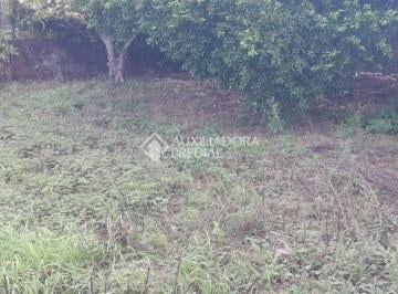 695852_iu178c2T3cc1G_69585267dacbb40c226.jpg · Vendo terreno 300 m² no Bairro Santa Teresa, próximo a comércios locais,