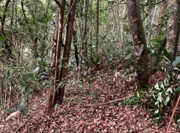 Terreno · 5115m² · Terreno em Estância Piratininga, Suzano/SP de 0m² à venda por R$ 169.000,00