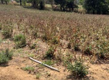 Terreno · 2000m² · Terreno em Centro, Mogi Guaçu/SP de 2000m² à venda por R$ 127.800,00