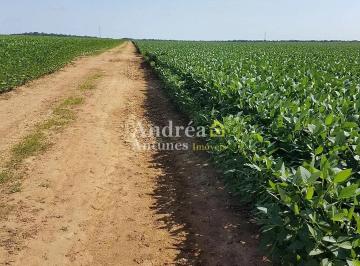 Rural · 2300m² · 4 Quartos · 15 Vagas · Fazenda em Alto Boa Vista, Porto Alegre Do Norte/MT de 2300m² 4 quartos à venda por R$ 850,00