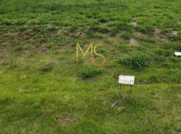Terreno · 125m² · Terreno em Sítio Boa Vista, Cotia/SP de 125m² à venda por R$ 140.000,00