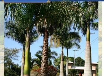 Terreno · 1000m² · Terreno em , Paraibuna/SP de 0m² à venda por R$ 230.000,00