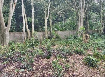 Terreno · 1117m² · Terreno em Várzea das Moças, Niterói/RJ de 0m² à venda por R$ 250.000,00