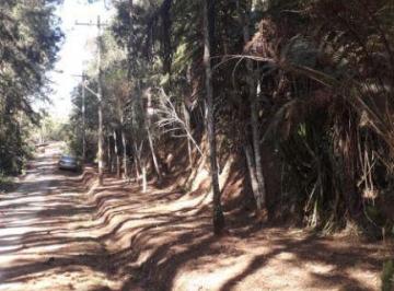 Terreno · 5022m² · Área em Estância Angelina, Suzano/SP de 0m² à venda por R$ 150.000,00 ou para locação R$ 2.750,00/me
