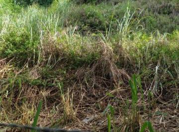 Terreno · 360m² · Terreno em Icaraí, Niterói/RJ de 0m² à venda por R$ 300.000,00