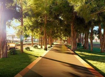 Terreno · 250m² · Terreno em Centro, Jaguariúna/SP de 0m² à venda por R$ 200.000,00