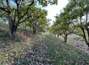 Terreno · 800m² · Terreno em Mato Queimado, Gramado/RS de 800m² à venda por R$ 1.368.523,00