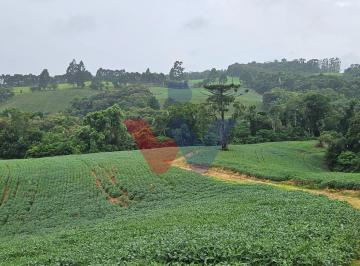 Rural · 79000m² · 1 Quarto · Chácara em Zona Rural, Contenda/PR de 79000m² 1 quartos à venda por R$ 1.230.000,00