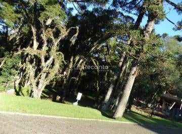 Terreno · 595m² · Terreno em Altos Pinheiros, Canela/RS de 595m² à venda por R$ 1.400.000,00