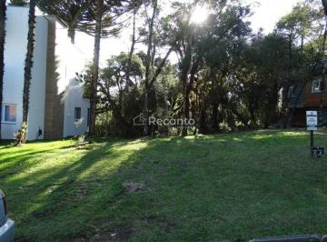 Terreno · 544m² · Terreno em Altos Pinheiros, Canela/RS de 544m² à venda por R$ 1.500.000,00
