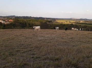 Rural · 20000m² · Chácara em , Elias Fausto/SP de 0m² à venda por R$ 1.200.000,00