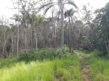 Terreno · 13000m² · Área em Fazenda Aya, Suzano/SP de 0m² à venda por R$ 700.000,00