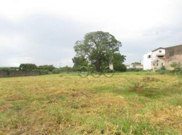 Terreno · 6364m² · Terreno em Nossa Senhora de Fátima, Piracicaba/SP de 0m² para locação R$ 6.000,00/mes
