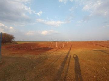 Terreno · 107000m² · Terreno em Loteamento Distrito Industrial Uninorte, Piracicaba/SP de 0m² para locação R$ 110.000,00/