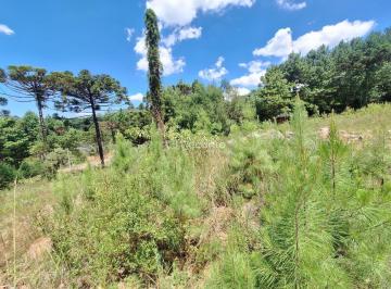 Terreno · 450m² · Terreno em Moura, Gramado/RS de 450m² à venda por R$ 400.000,00