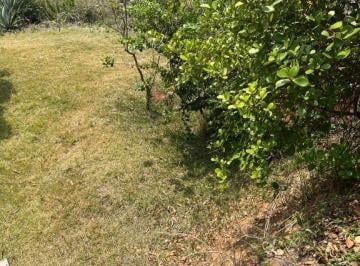 Terreno · 318m² · Terreno em Geribá, Armação dos Búzios/RJ de 0m² à venda por R$ 450.000,00