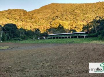 Rural · 775000m² · 4 Quartos · Fazenda em Serra do Capim, Teresópolis/RJ de 0m² 4 quartos à venda por R$ 3.700.000,00